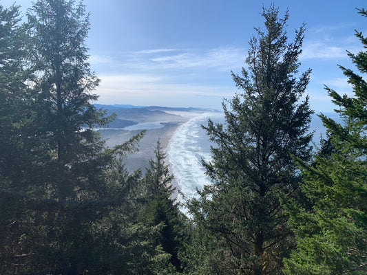 Neahkahnie Mountain View over Manzanita
