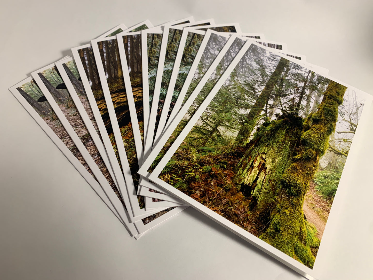 Stump Collection - 12 Pack (3 of each card)