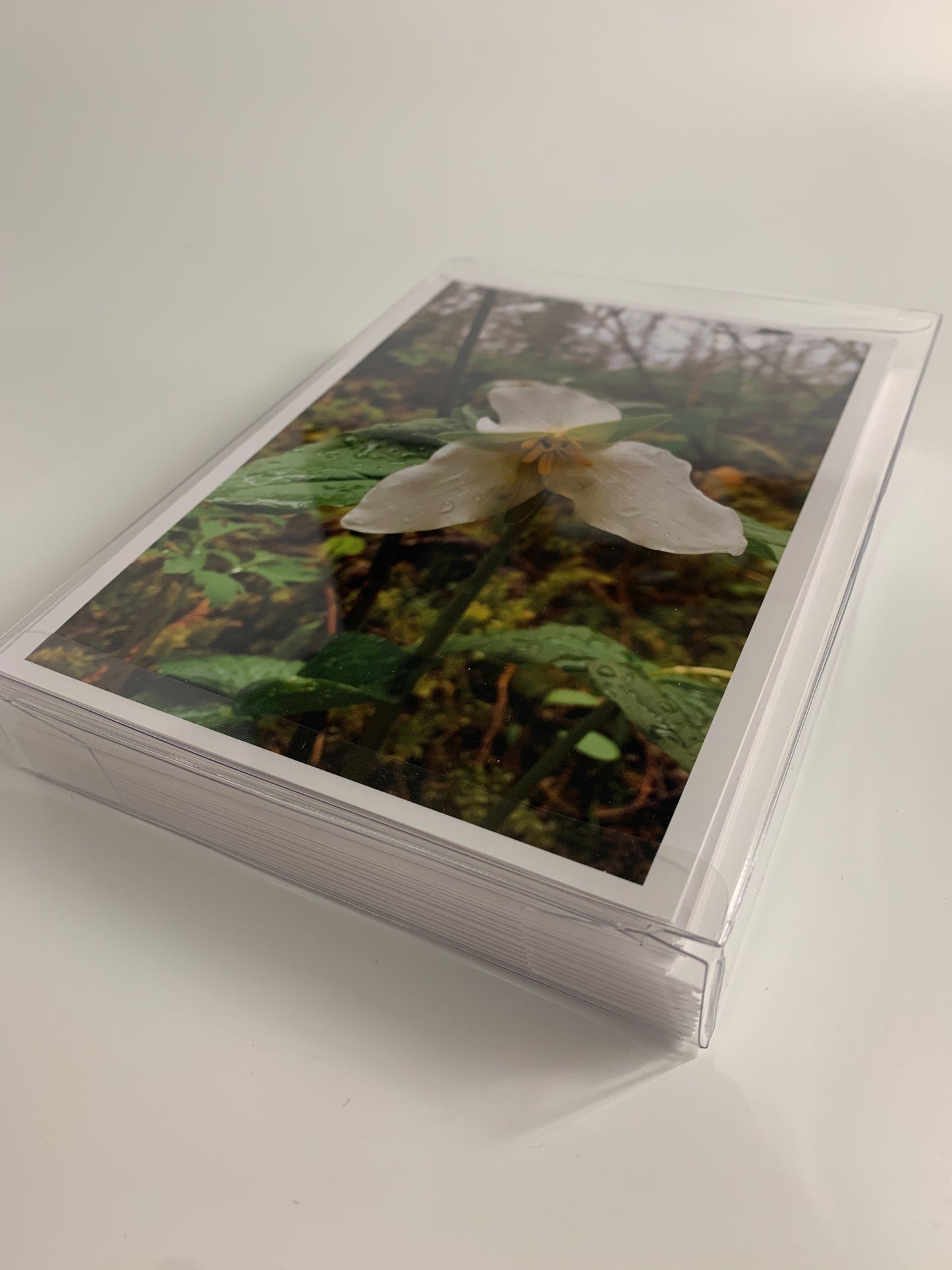 Wildflowers Collection - 12 Pack (3 of each card)