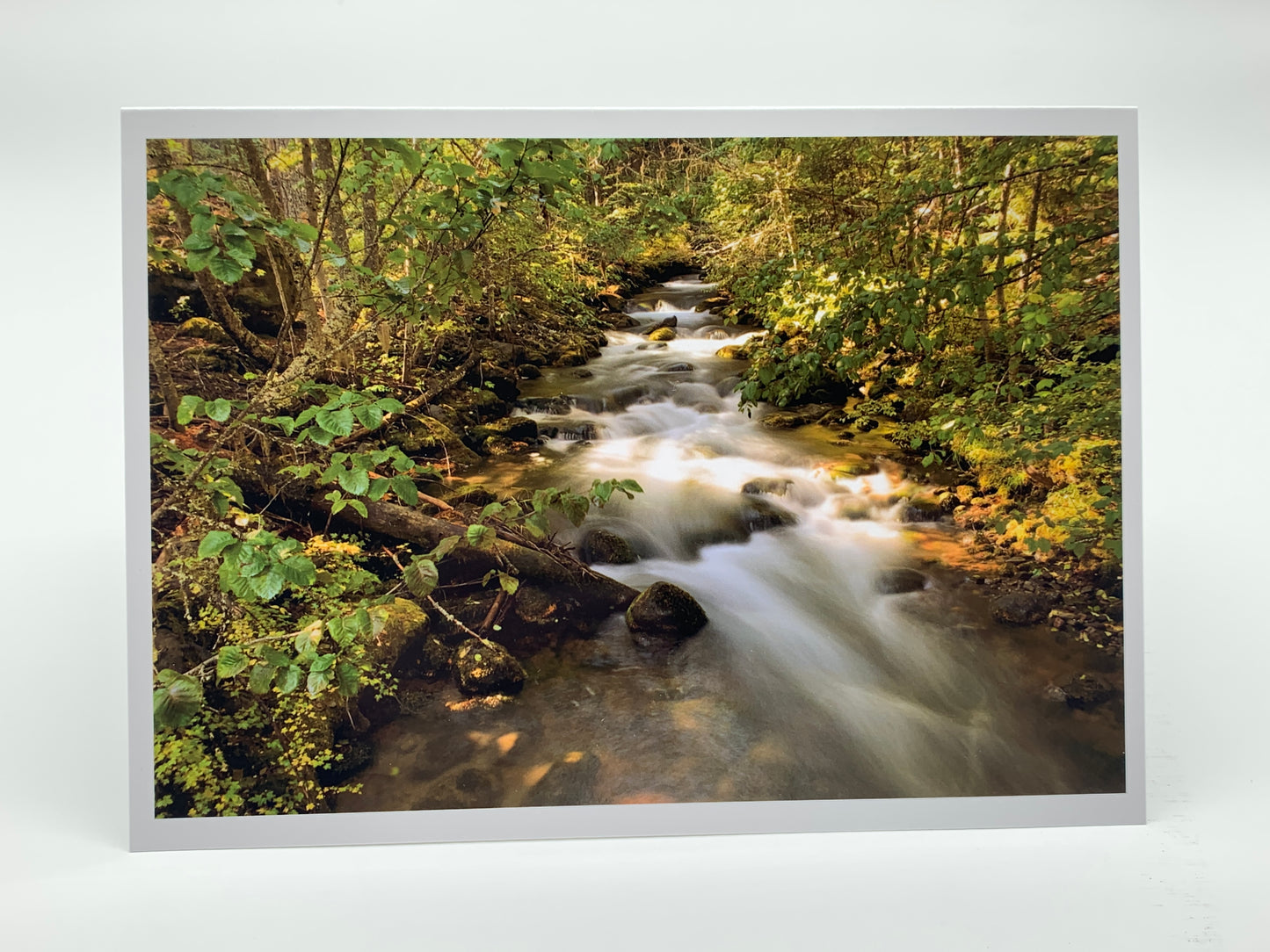 North Fork Cold Spring Creek