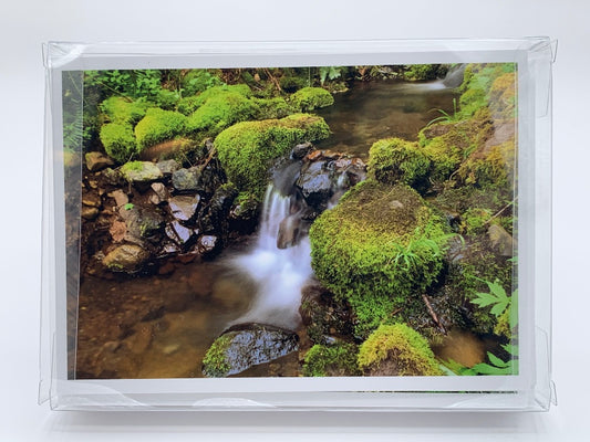 Peaceful Water 12 card set (3 of each card)